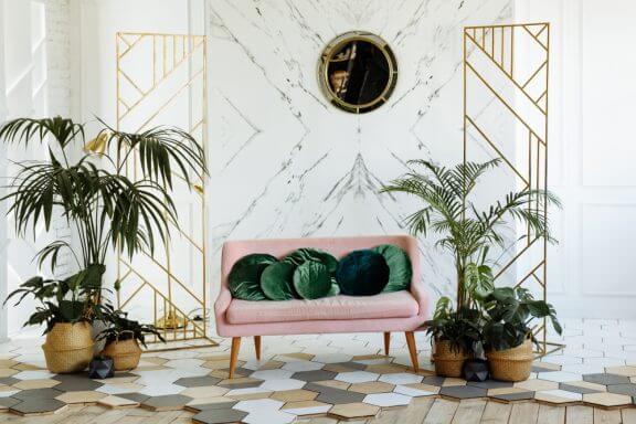 dekoratif palmiye ağaçları