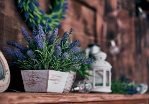 rustik tarzda çiçek saksıları