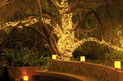 bahçede yılbaşı ışıkları