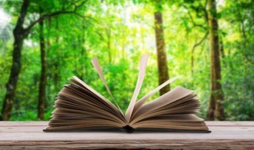 orman manzarasında kitap