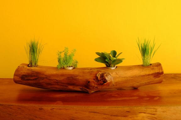 ağaç gövdesinden yatay saksı