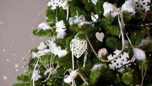 Doğru Yılbaşı Ağacı Nasıl Seçilir