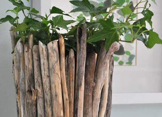 yalos bitki saksısı