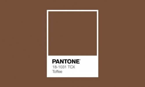 bahar pantone toffee