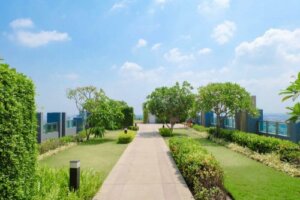 Yeşil Çatılar: Bilmeniz Gereken Her Şey