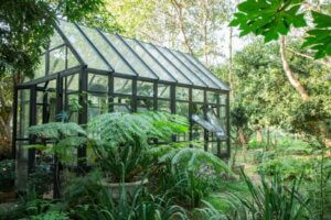 Çok şık bir sera görüntüsü