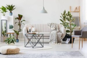 Temel Bitki Bakımı: Muhteşem Bir Görüntü Yaratın