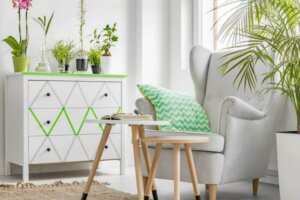 Bitki ve Çiçek Kombinasyonları İle Mekanı Güzelleştirmek