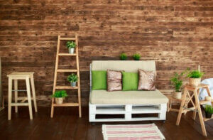 Bitkiler ve çiçekler.