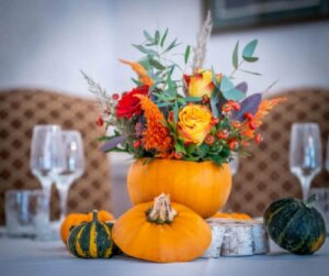 Yaratıcı Doğal Aranjmanlar