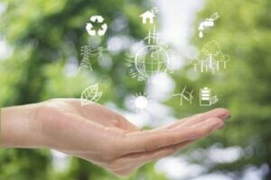 Sürdürülebilir Dekorasyon: Daha İyi Bir Gezegen İçin