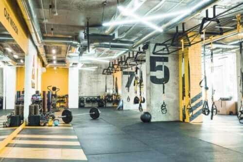 Spor Salonunu Dekore Etmek İçin Temel Kaynaklar