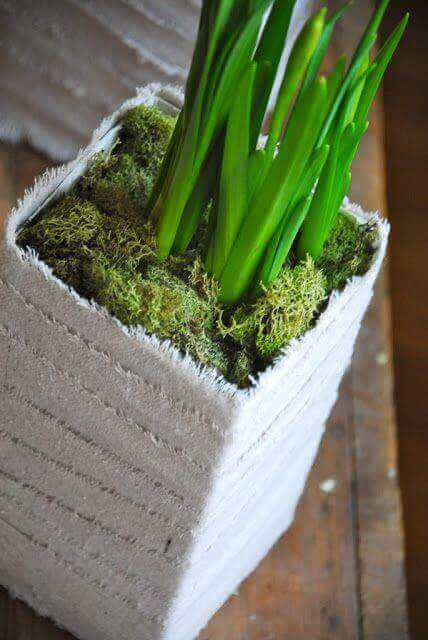 kendin yap bitki saksıları