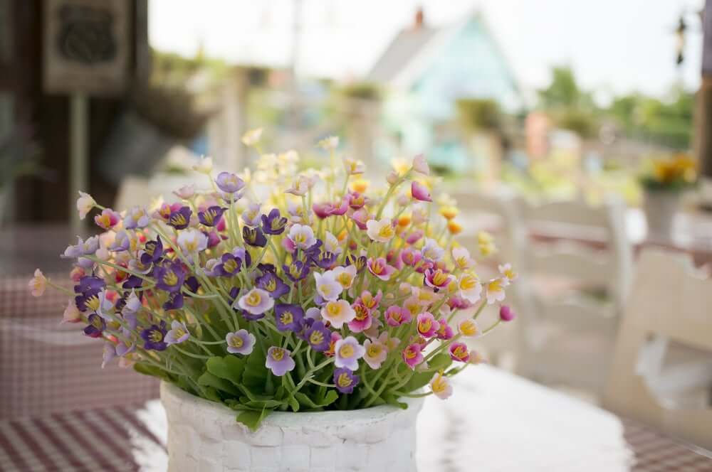 bitkiler dekorasyon orta süsü