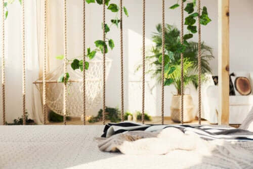 sarmaşık ile mahremiyet sağlamak