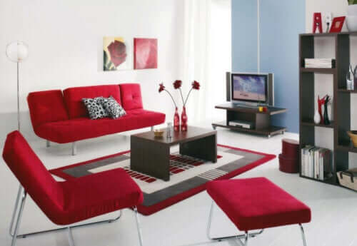 oturma odası, misafir oturma odası