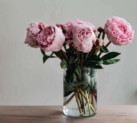 Çiçeklerin anlamları ile ilgili neler biliyorsunuz?